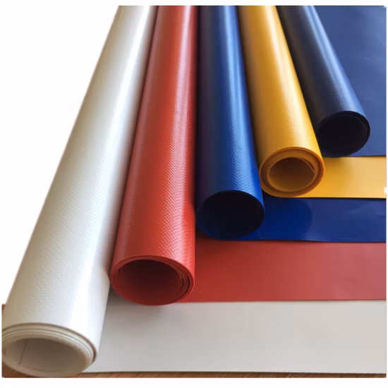 Best Quality 300GSM PP/Polyester Non-Woven Geotextile with Ce/ISO9001