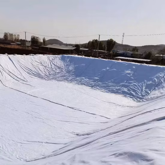 460g 150/150kn Pet Polyester Woven Geotextile for Road Construction