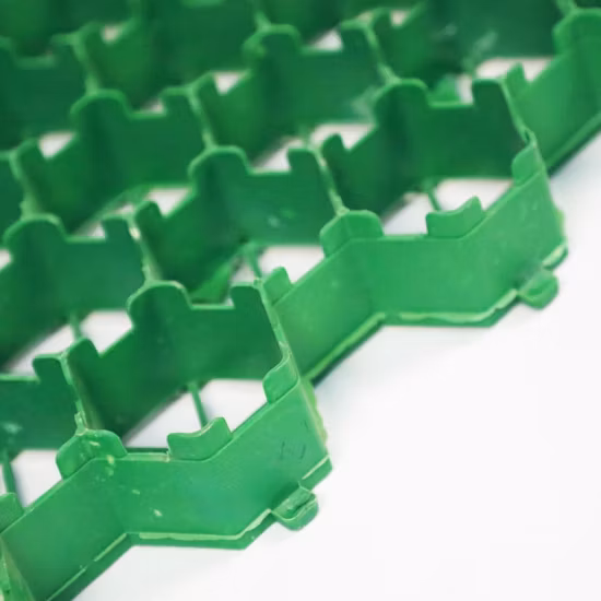 Plastic Grass Paver / Landscape Turf Grass Paver / Grass Grid for Driveway