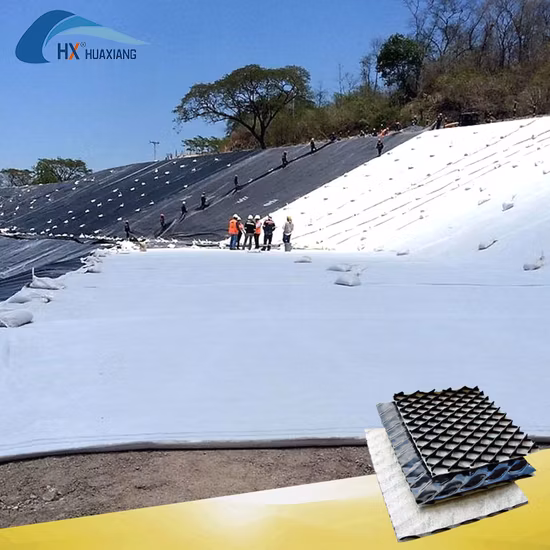 High Quality 3D Composite Geonet for Drainage