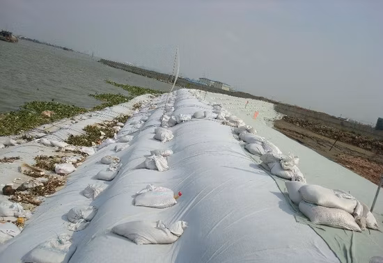 PP Polypropylene Filament Nonwoven/Pet Polyester Staple Fiber Nonwoven/Woven/Short