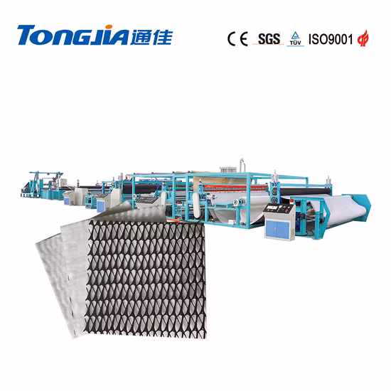 Composite Geotextile Plastics Geonet Drainage Net