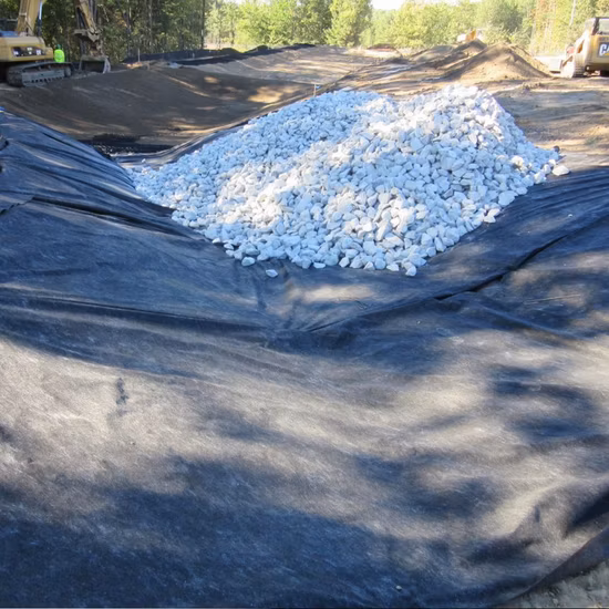 PP Polypropylene Filament Nonwoven/Pet Polyester Staple Fiber Nonwoven/Woven/Short