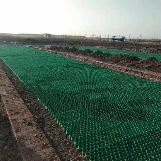 500*500*40mm Plastic Grass Grid for Driveway, Parking Lot