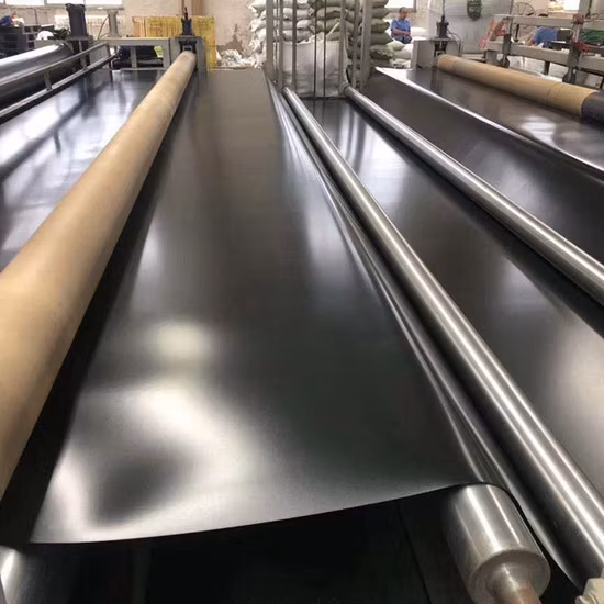 0.2mm/0.5mm/1.0mm/2.0mm Black Plastic Sheet Liner CE/ASTM Viring Waterproofing HDPE Geomembrane for Agriculture/Dam/Landfill/Lake/Biogas/Aquaculture Project