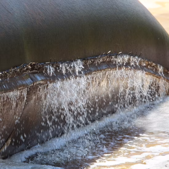 PP Woven Dewatering Bag/Geobag/ for Sludge/Breakwater/Beach Abrasion